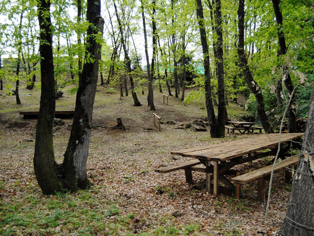 Village Sport Holidays Cerveteri Bilik gambar